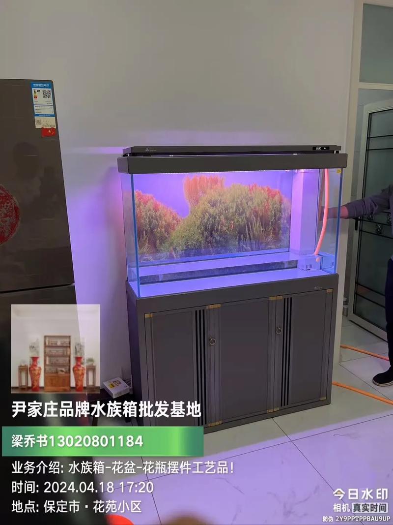 定州市南城區(qū)尹家莊品牌水族箱 專業(yè)批發(fā)服務(wù)