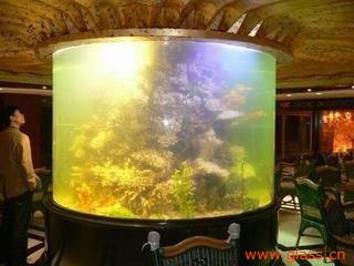 福州圓缸選購(gòu)指南 價(jià)格、廠家與水族箱推薦