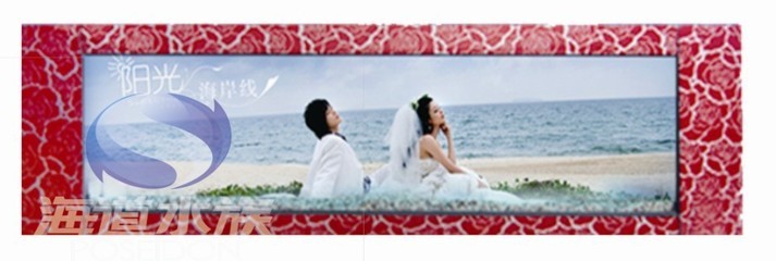 探索家居新美學(xué) 保定壁掛式魚缸與懸掛式水族箱的魅力