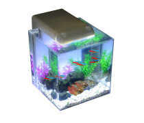 水族箱 家居中的一方靈動水域，如何打造與維護