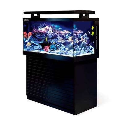 紅海MAX S-500 頂級海水魚缸的預定款，一淘網優惠購省心又省錢