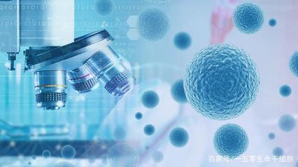 完善干細胞治療臨床技術指導，推動人體干細胞技術開發與應用