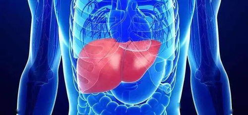 新品前瞻 | 人體干細(xì)胞技術(shù) 為人體“化工廠”肝臟，開啟科學(xué)排毒新紀(jì)元