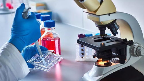 從突破性檢測到再生醫(yī)學(xué) 血液篩查與干細(xì)胞技術(shù)如何重塑卵巢癌防治未來